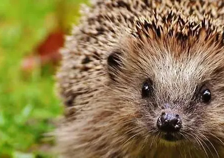 Im Hof Objekt Id 12111-0 아파트 바렌